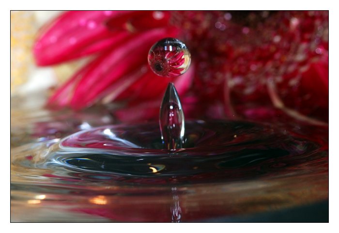 03 - Splash.jpg